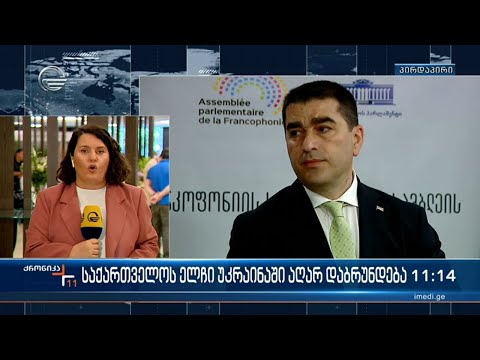 საქართველოს ელჩი უკრაინაში აღარ დაბრუნდება